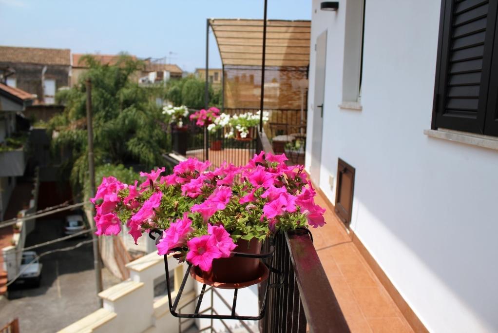 Tortugas B&B Giarre Exterior foto